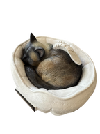 Monello® Tierurne Schlafende Katze bemalt nach Fotovorlage