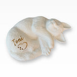 Katzenurne Kuschelnde Katze in Wunschfarbe