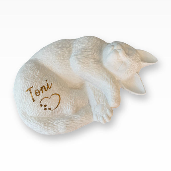 Katzenurne Kuschelnde Katze in Wunschfarbe
