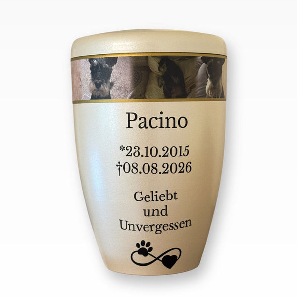 Tierurne mit persönlichem Fotoband