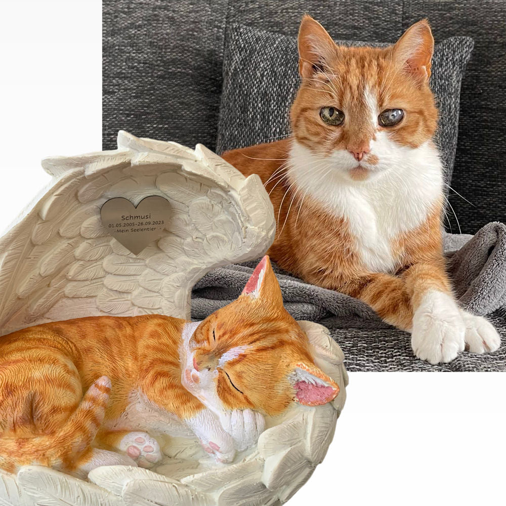 Monello® Katze in Engelsflügel bemalt nach Fotovorlage