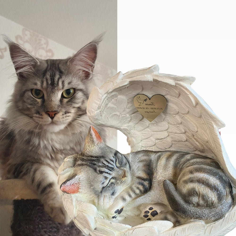 Monello® Katze in Engelsflügel bemalt nach Fotovorlage
