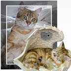 Monello® Katze in Engelsflügel bemalt nach Fotovorlage