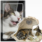 Monello® Katze in Engelsflügel bemalt nach Fotovorlage