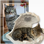Monello® Katze in Engelsflügel bemalt nach Fotovorlage