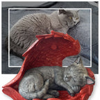 Monello® Katze in Engelsflügel bemalt nach Fotovorlage