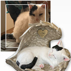Monello® Katze in Engelsflügel bemalt nach Fotovorlage
