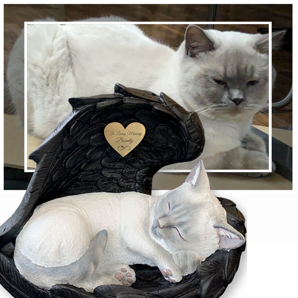 Monello® Katze in Engelsflügel bemalt nach Fotovorlage