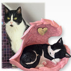 Monello® Katze in Engelsflügel bemalt nach Fotovorlage