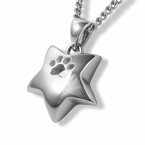Ascheschmuck Anhänger Stern Pfote 925er Silber