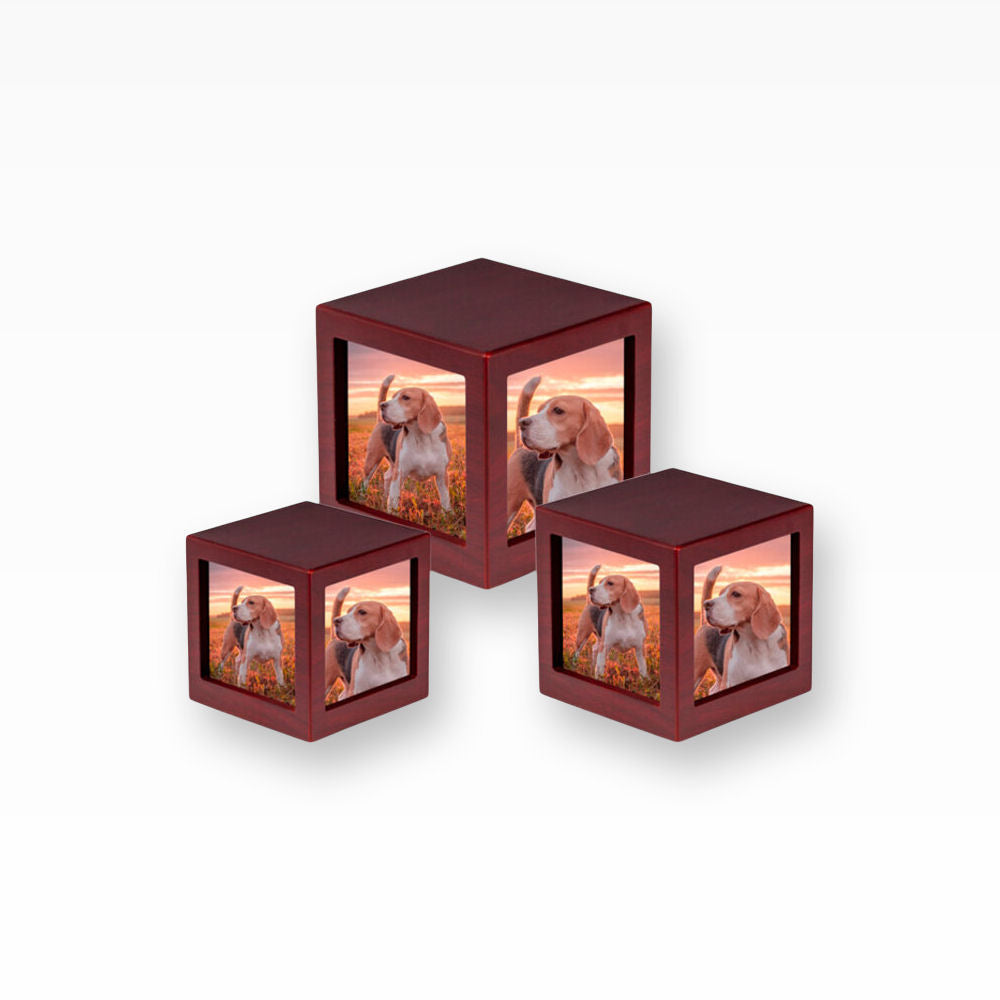 Holzurne Bilderrahmen Urne für 2 Fotos