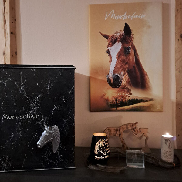 Urne für Pferd Marmoroptik Schwarz mit Pferdekopf in 3D