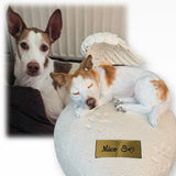 Monello® Hundeurne Hund auf Herz Stehende Ohren bemalt nach Fotovorlage