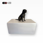 Urne für Hunde Pitbull American Staffordshire Terrier