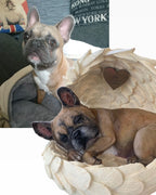 Monello® Hundeurne Französische Bulldogge bemalt nach Foto