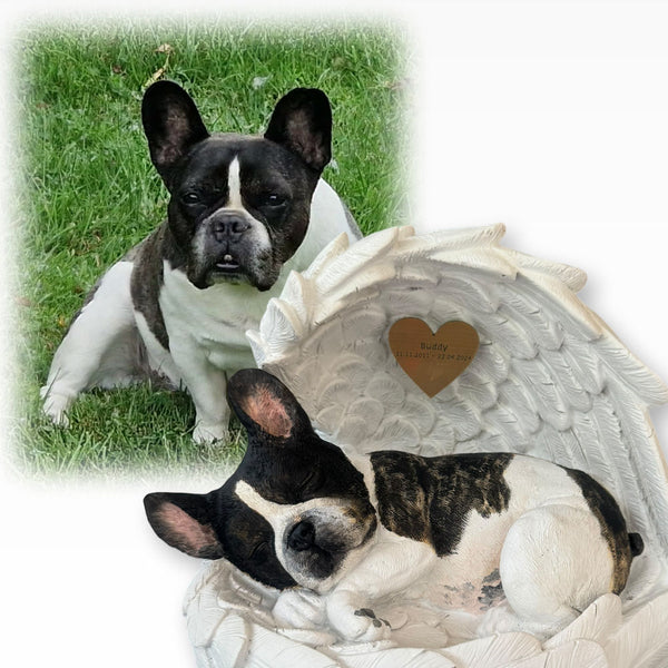 Monello® Hundeurne Französische Bulldogge bemalt nach Foto