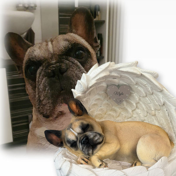 Monello® Hundeurne Französische Bulldogge bemalt nach Foto