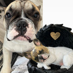 Monello® Hundeurne Französische Bulldogge bemalt nach Foto