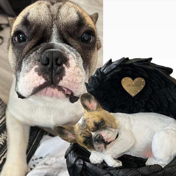 Monello® Hundeurne Französische Bulldogge bemalt nach Foto