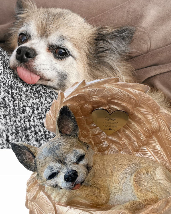 Monello® Portrait Chihuahua in Engelsflügel bemalt nach Fotovorlage