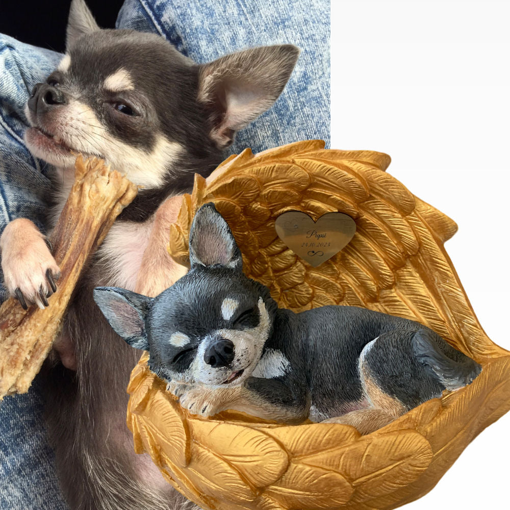 Monello® Portrait Chihuahua in Engelsflügel bemalt nach Fotovorlage