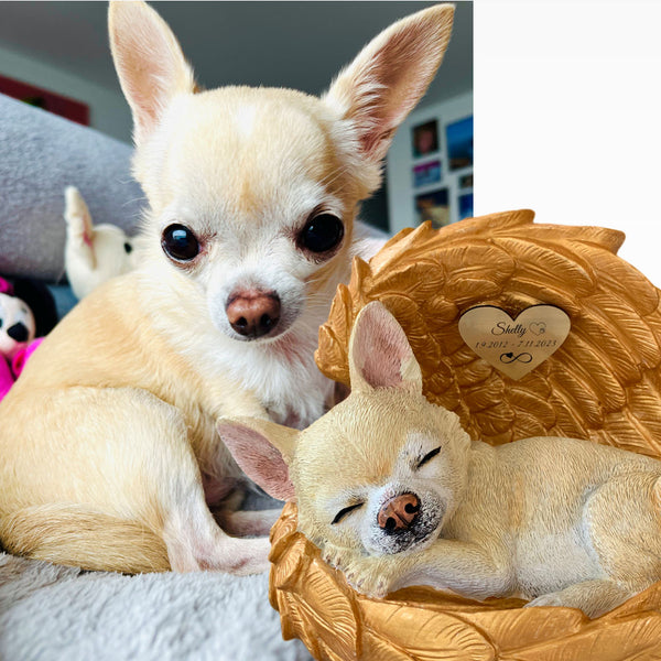 Monello® Portrait Chihuahua in Engelsflügel bemalt nach Fotovorlage