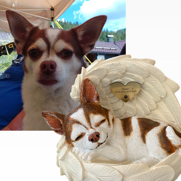 Monello® Portrait Chihuahua in Engelsflügel bemalt nach Fotovorlage