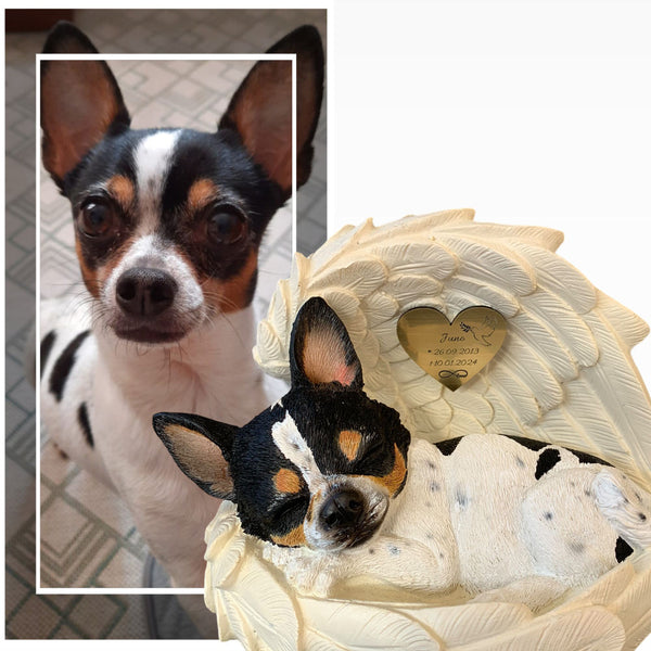 Monello® Portrait Chihuahua in Engelsflügel bemalt nach Fotovorlage