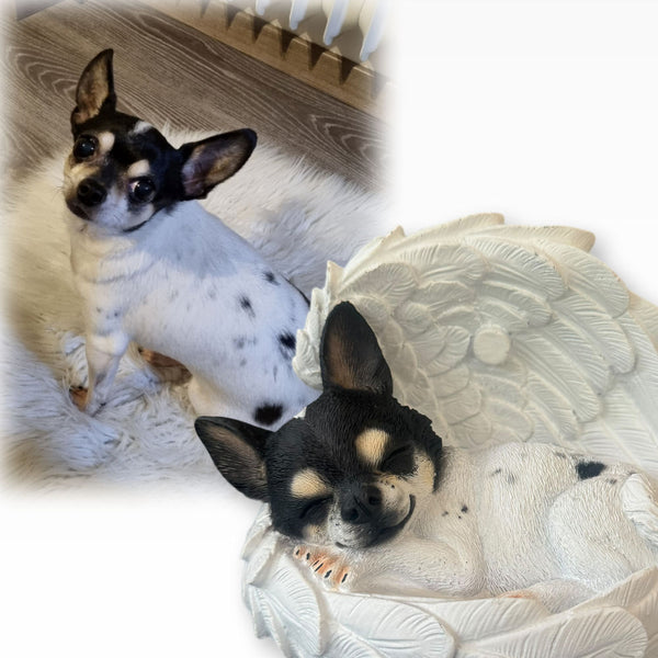 Monello® Portrait Chihuahua in Engelsflügel bemalt nach Fotovorlage