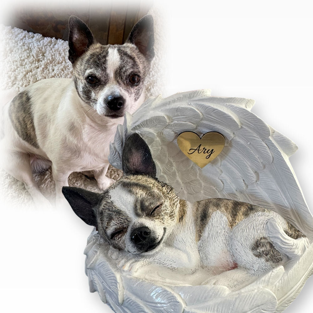 Monello® Portrait Chihuahua in Engelsflügel bemalt nach Fotovorlage