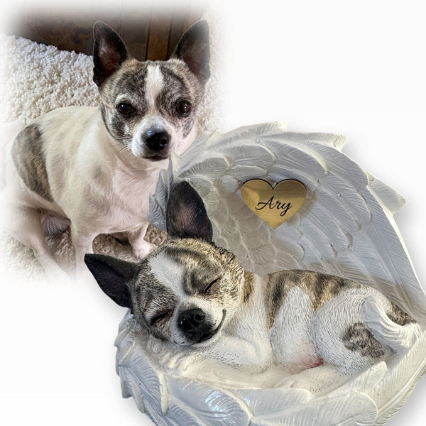 Monello® Portrait Chihuahua in Engelsflügel bemalt nach Fotovorlage