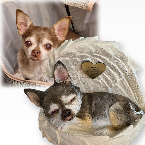 Monello® Portrait Chihuahua in Engelsflügel bemalt nach Fotovorlage
