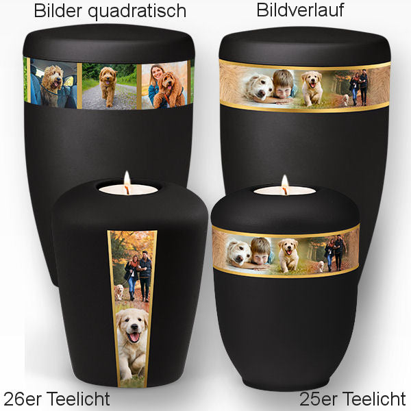 Heiso Monumenti Tierurne mit Fotoband