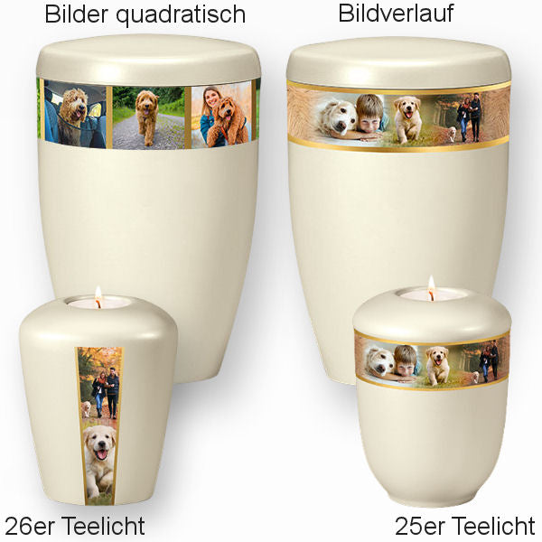 Heiso Monumenti Tierurne mit Fotoband