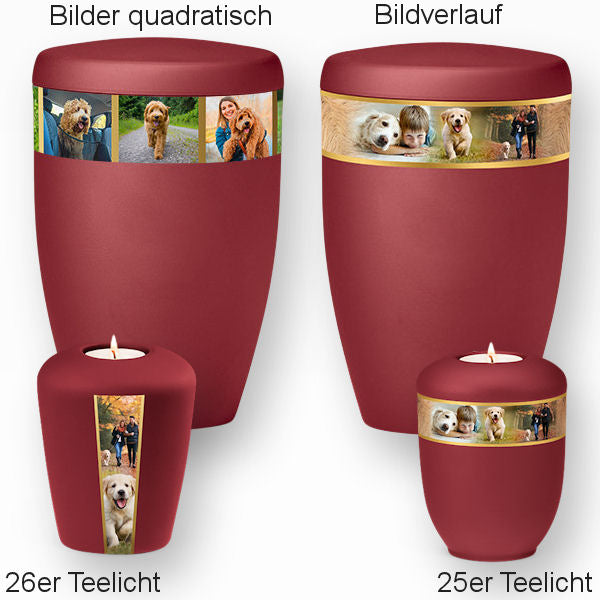 Heiso Monumenti Tierurne mit Fotoband