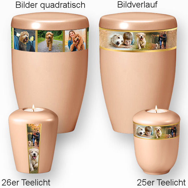 Heiso Monumenti Tierurne mit Fotoband