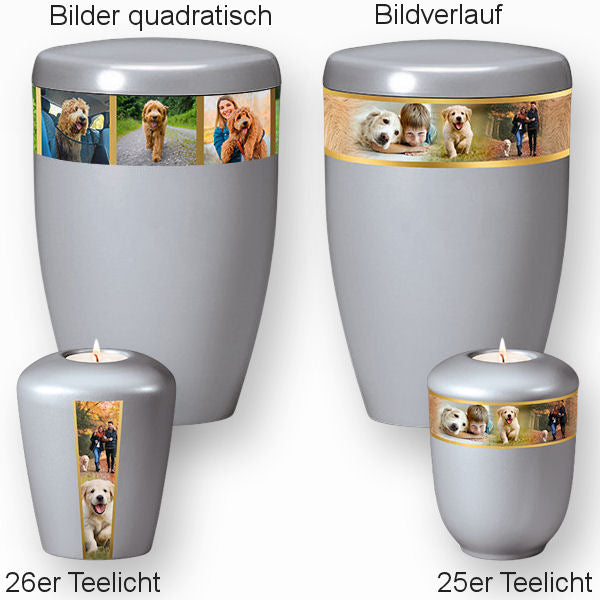 Heiso Monumenti Tierurne mit Fotoband