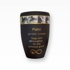 Heiso Monumenti Tierurne mit Fotoband