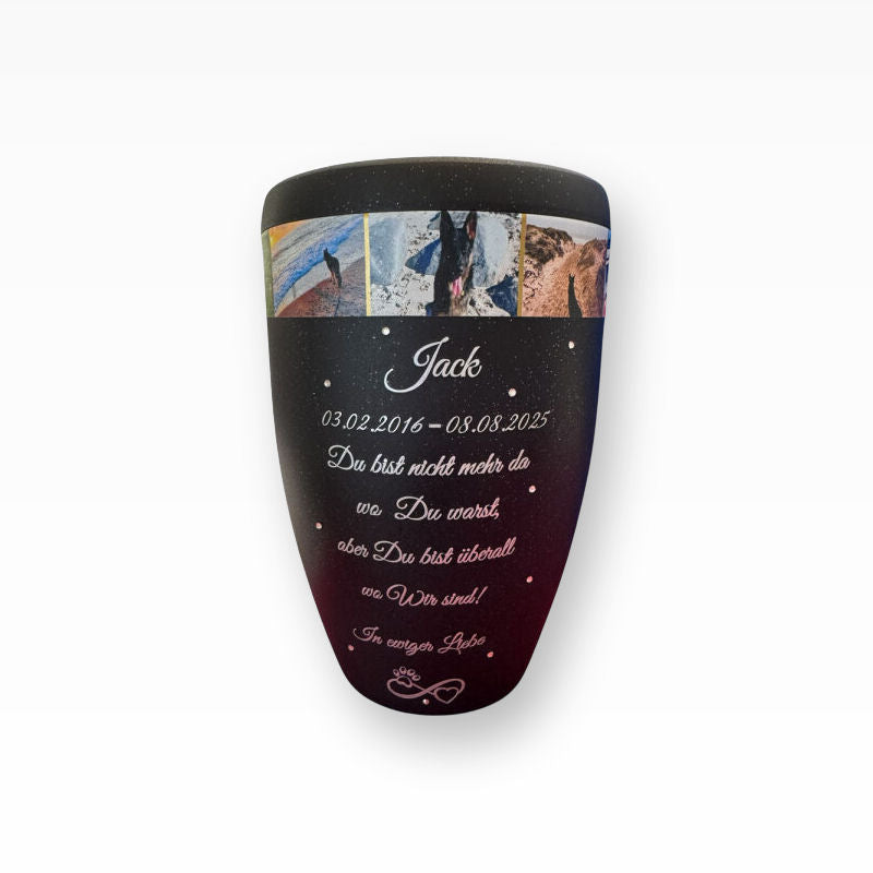 Heiso Monumenti Tierurne mit Fotoband