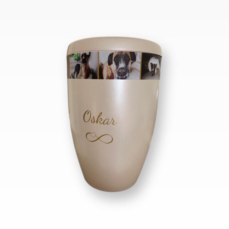 Heiso Monumenti Tierurne mit Fotoband