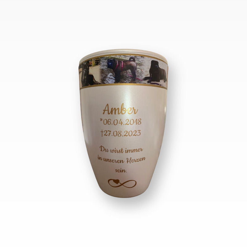 Heiso Monumenti Tierurne mit Fotoband