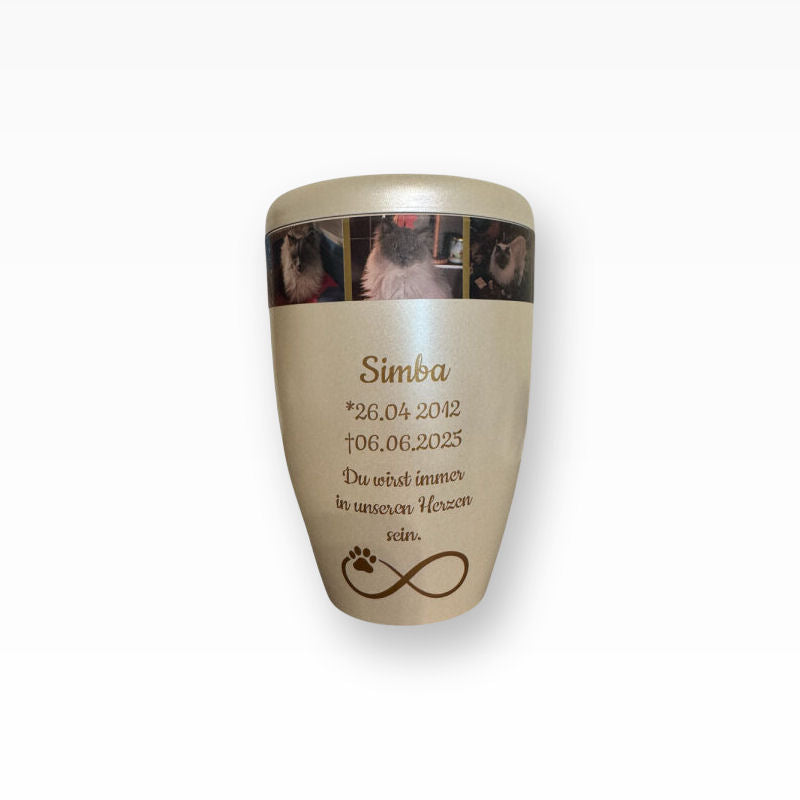 Heiso Monumenti Tierurne mit Fotoband