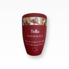 Heiso Monumenti Tierurne mit Fotoband