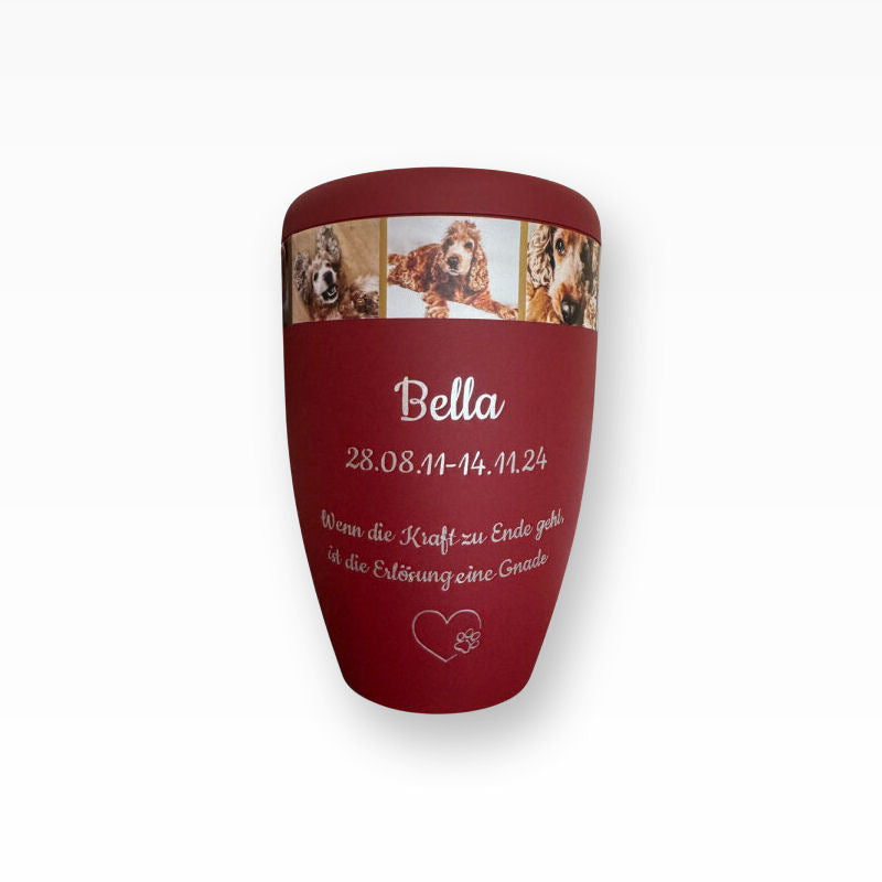 Heiso Monumenti Tierurne mit Fotoband