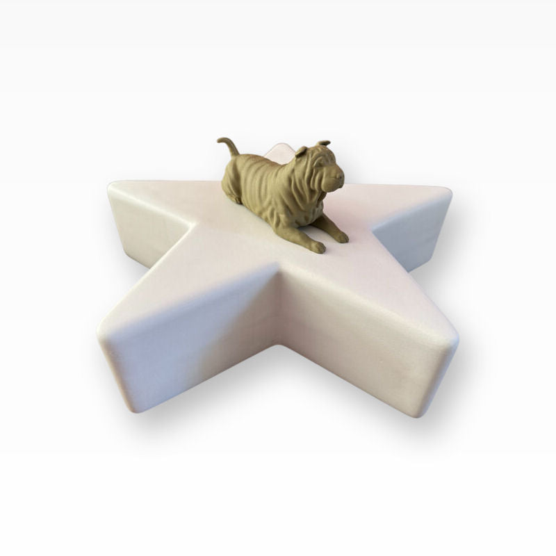 Monello Hundeurne Shar-Pei wacht auf seinem Stern