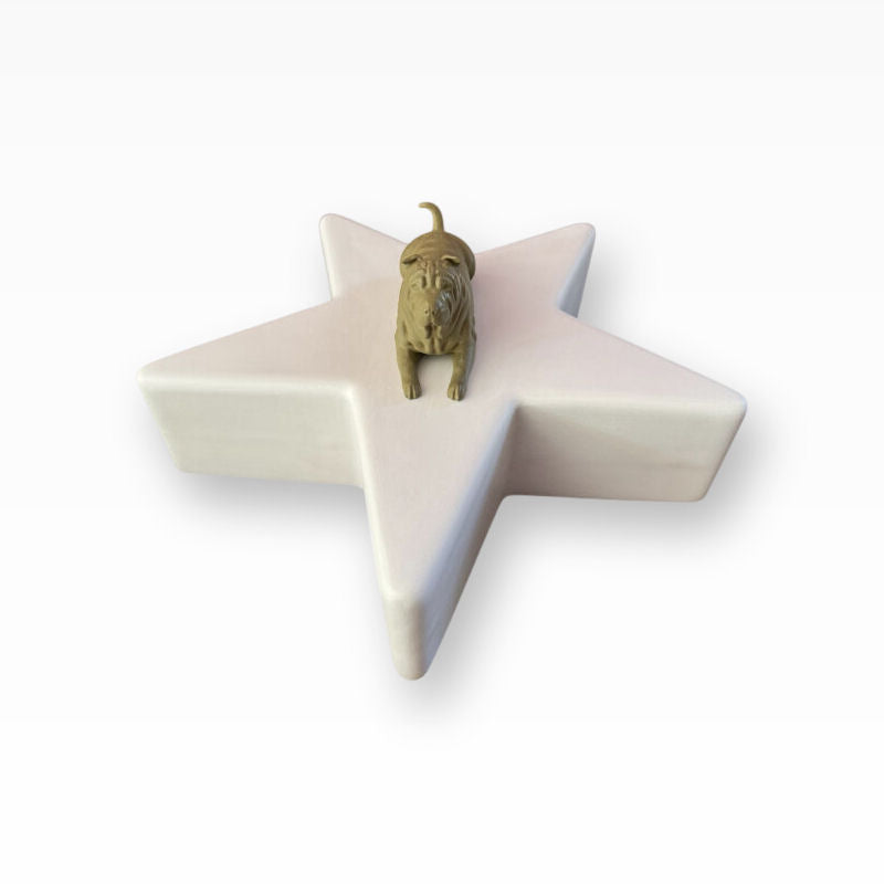 Monello Hundeurne Shar-Pei wacht auf seinem Stern