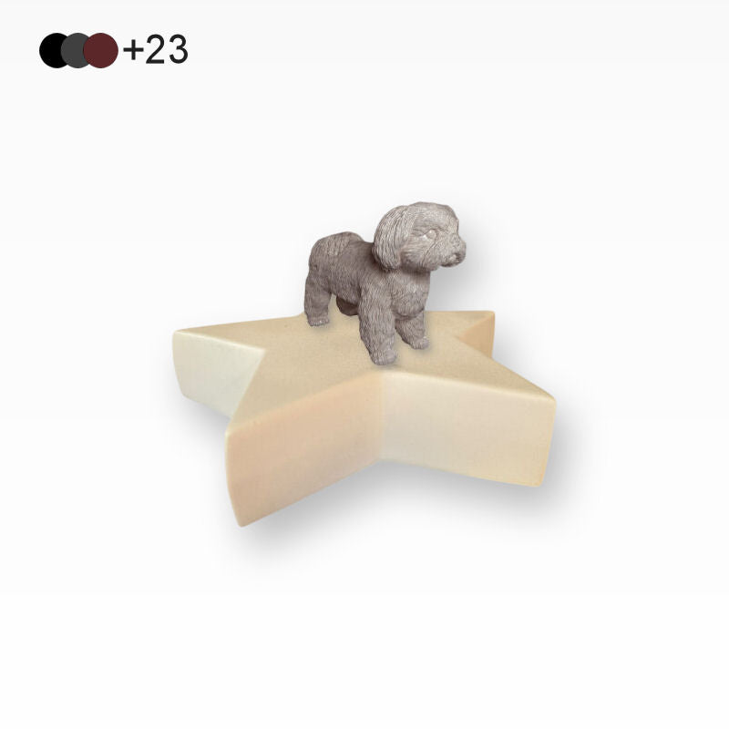 Monello Hundeurnen Shih Tzu Sternurne für Zuhause