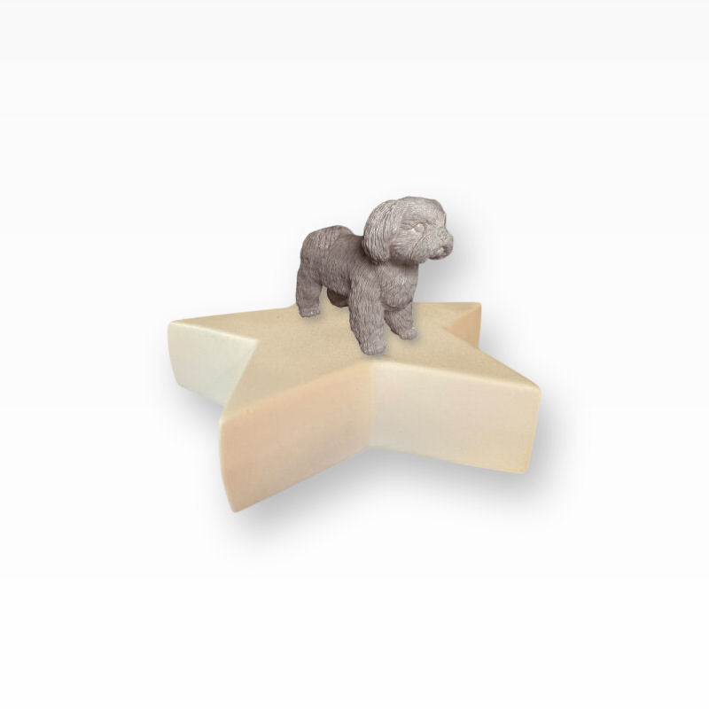 Monello Hundeurnen Shih Tzu Sternurne für Zuhause