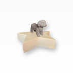 Monello Hundeurnen Shih Tzu Sternurne für Zuhause