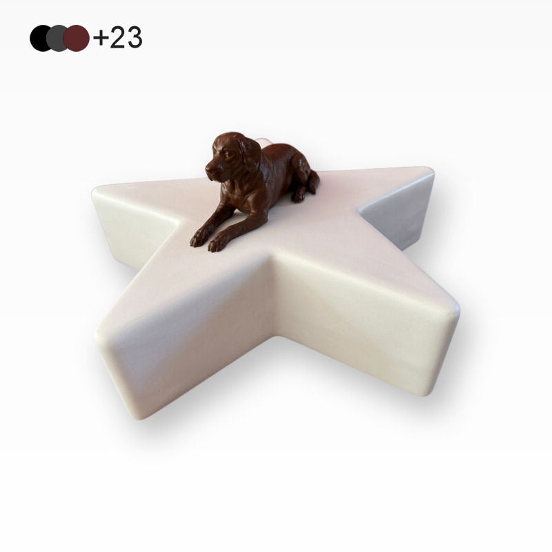 Monello Hundeurne Labrador wacht auf seinem Stern